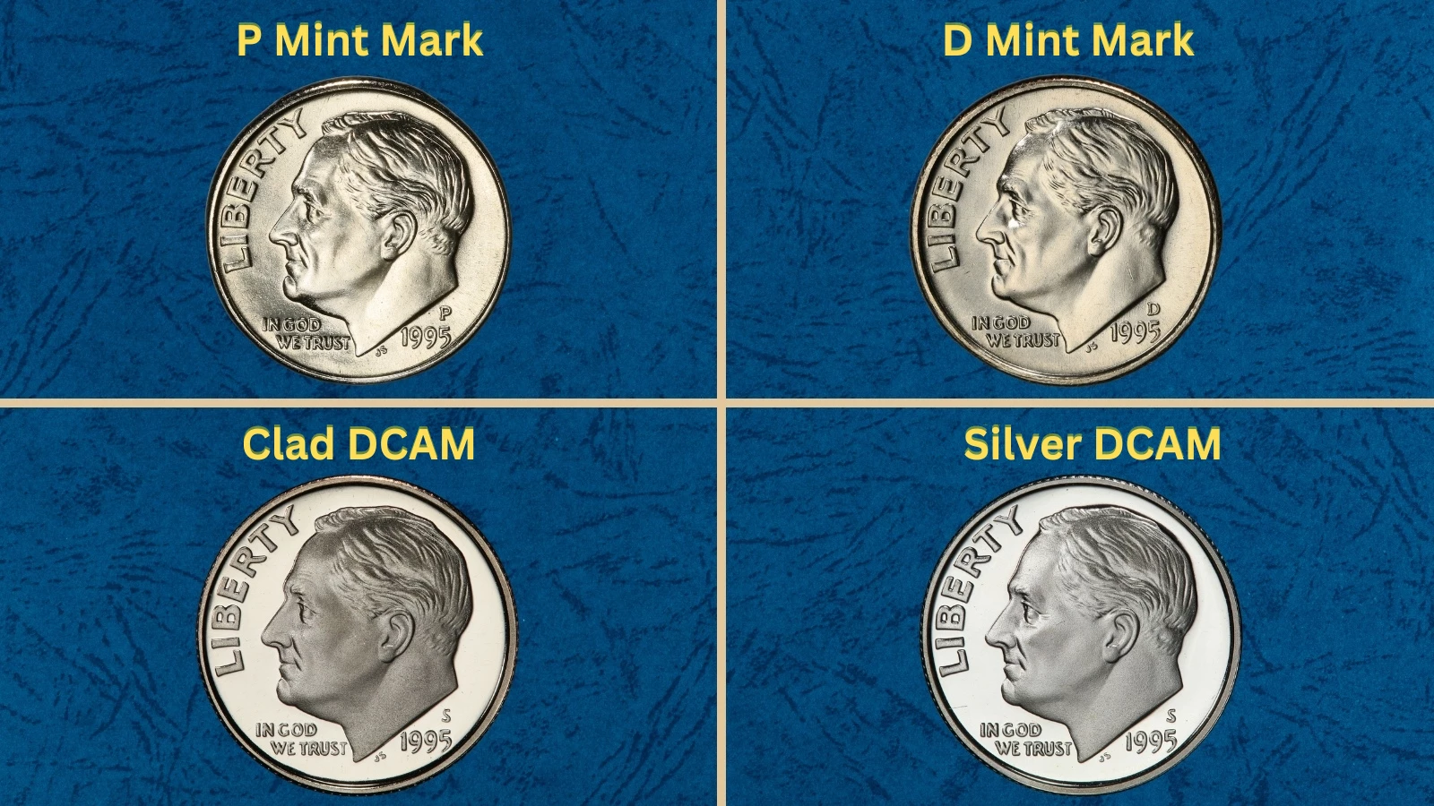 1995 Roosevelt dimes arranged to show all four varieties including P, D, and S proof examples